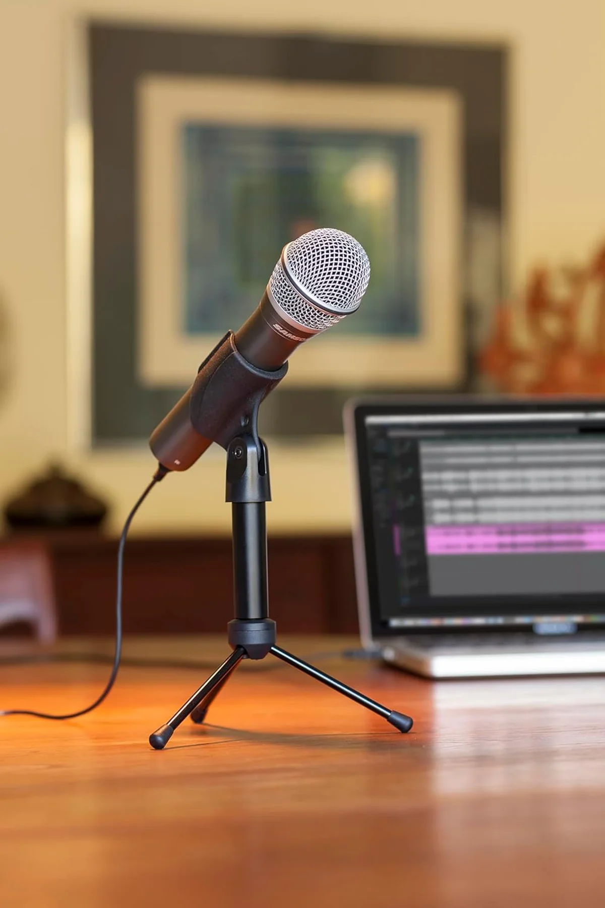 Samson Q2U dynamic capsule close-up — the cardioid element that rejects room noise
